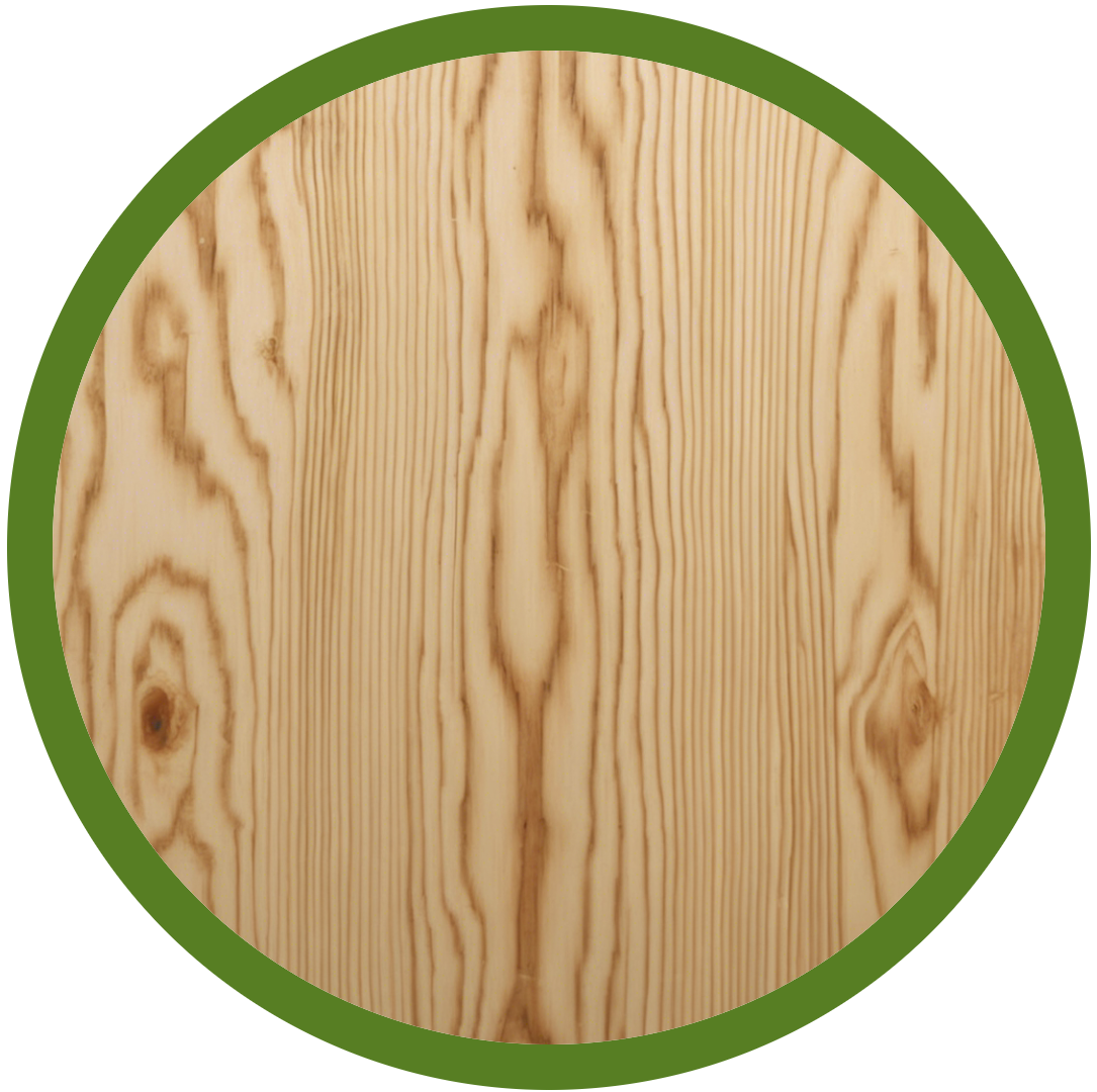 Pine Plywood